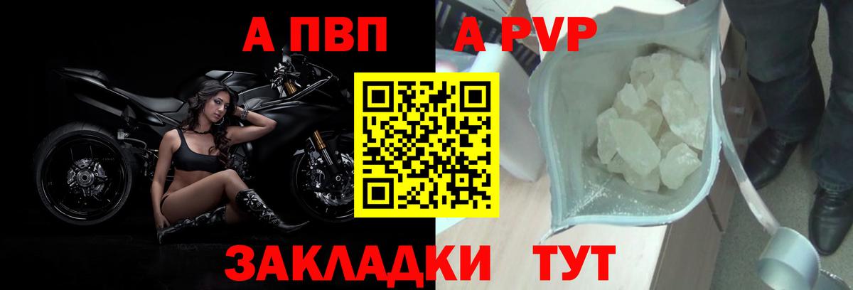 Альфа ПВП СК КРИС Волгоград