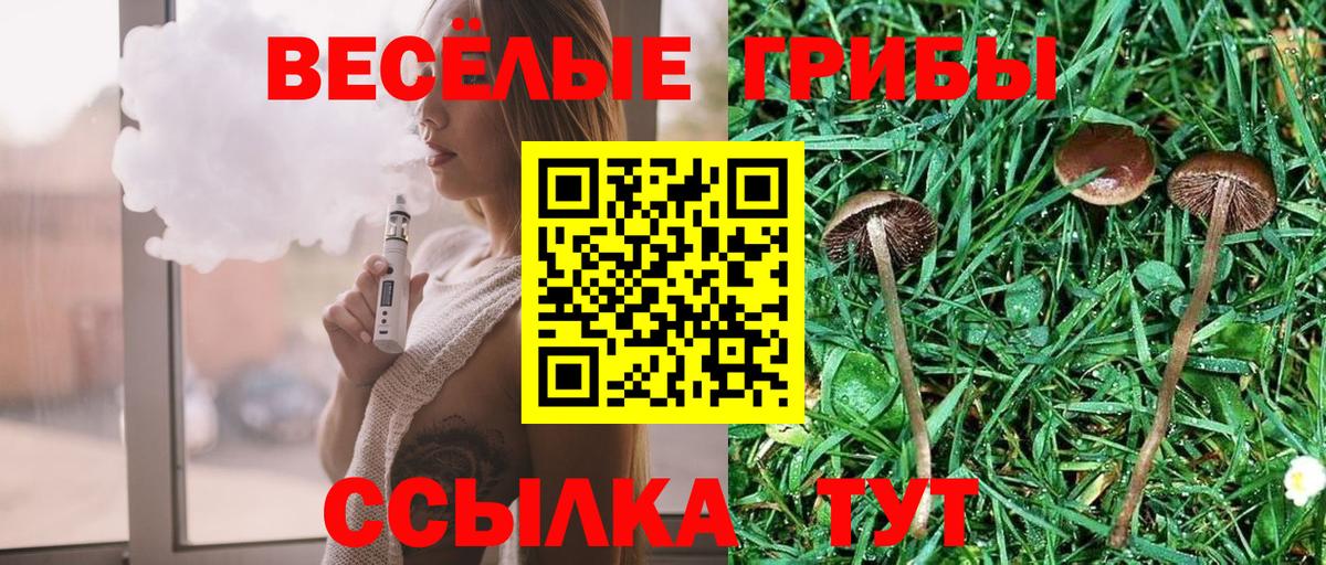 Псилоцибиновые грибы мухоморы Волгоград