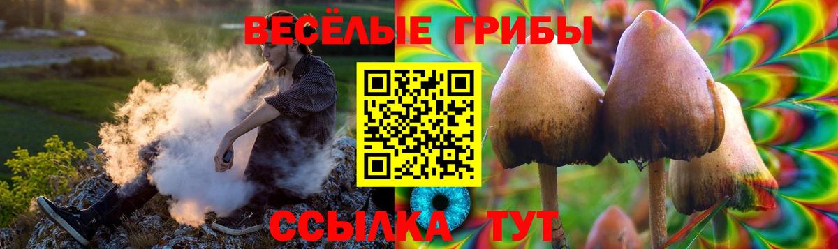 Галлюциногенные грибы Psilocybine cubensis  Вход с VPN  Волгоград 